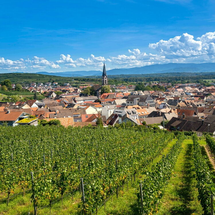 Luftaufnahme einer baden-württembergischen Kommune auf der im Vordergrund Agrarfläche und im Hintergrund der Ortskern mit Kirchturm zu sehen sind.